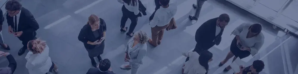 Explore Partnership Options