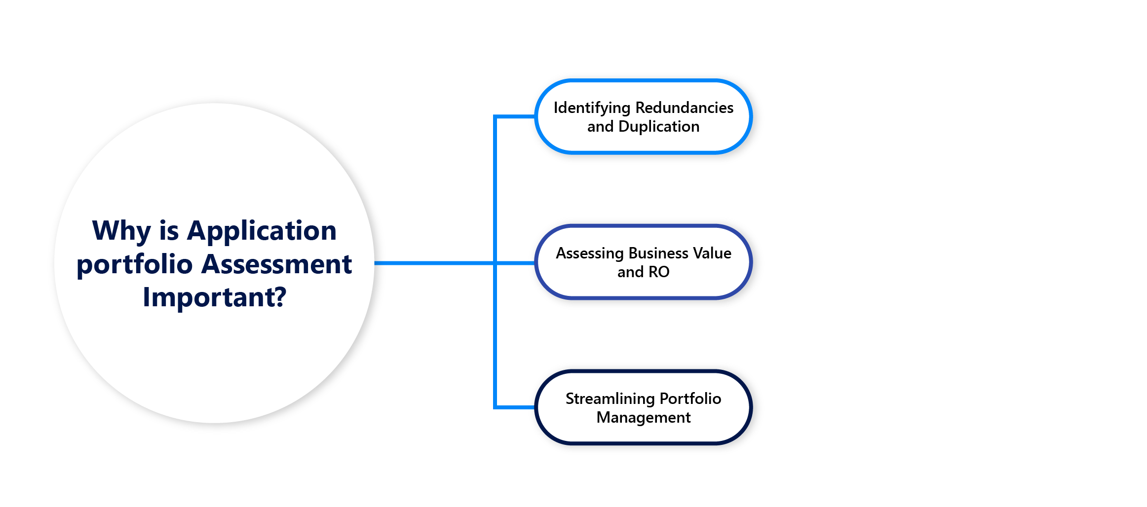 Why is Application Portfolio Assessment Important? 